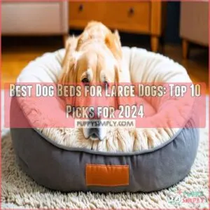 best dog beds for large dogs