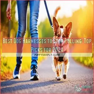 best dog harnesses to stop pulling