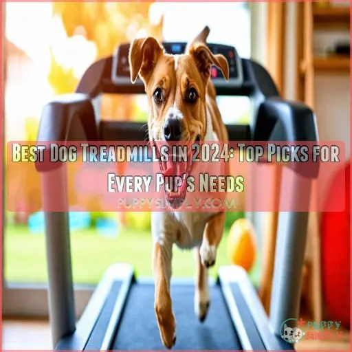 best dog treadmills