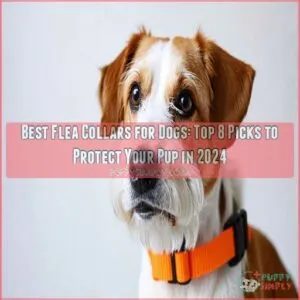 Best flea collars for dogs