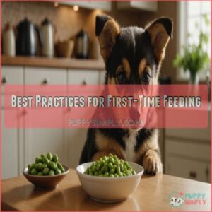 Best Practices for First-Time Feeding