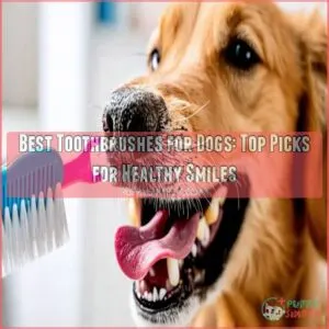 best toothbrushes for dogs