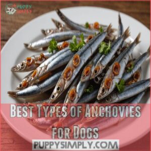 Best Types of Anchovies for Dogs