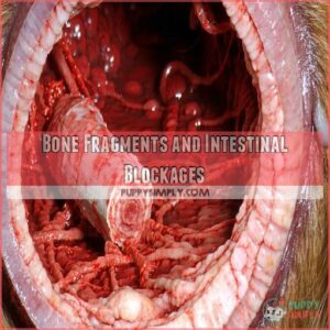 Bone Fragments and Intestinal Blockages