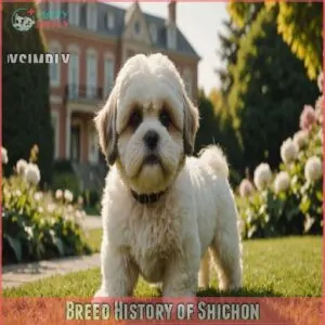 Breed History of Shichon