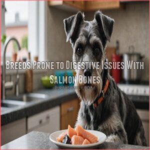 Breeds Prone to Digestive Issues With Salmon Bones