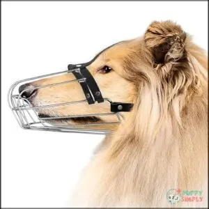 BRONZEDOG Dog Muzzle Wire Basket