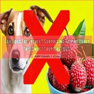 can dog eat lychee