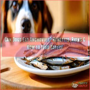 can dogs eat anchovies