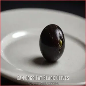 Can Dogs Eat Black Olives