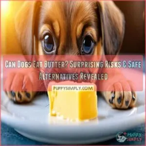 can dogs eat butter