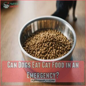 Can Dogs Eat Cat Food in an Emergency