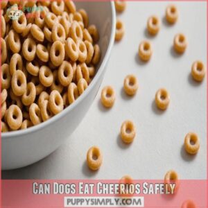 Can Dogs Eat Cheerios Safely