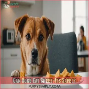 Can Dogs Eat Cheez-Its Safely