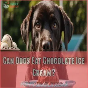 Can Dogs Eat Chocolate Ice Cream