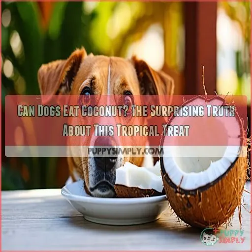 can dogs eat coconut