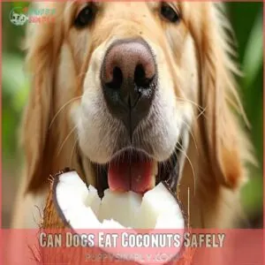 Can Dogs Eat Coconuts Safely