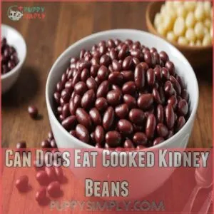 can dogs eat cooked kidney beans