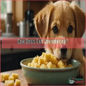 Can Dogs Eat Cornbread