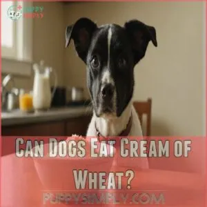 Can Dogs Eat Cream of Wheat