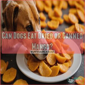 Can Dogs Eat Dried or Canned Mango