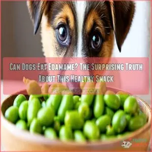 Can Dogs Eat Edamame