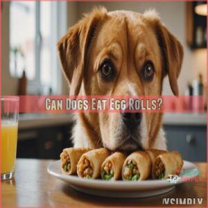 can dogs eat egg rolls can dogs eat egg rolls