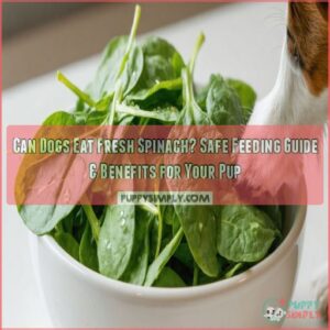 can dogs eat fresh spinach