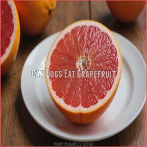 Can Dogs Eat Grapefruit