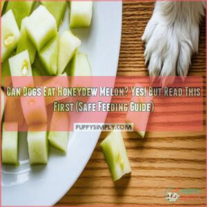 can dogs eat honey dew melon