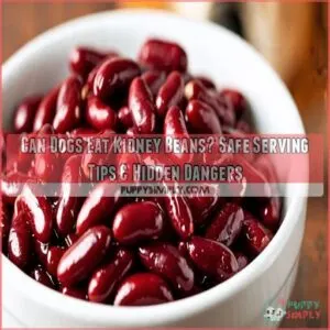 can dogs eat kidney beans