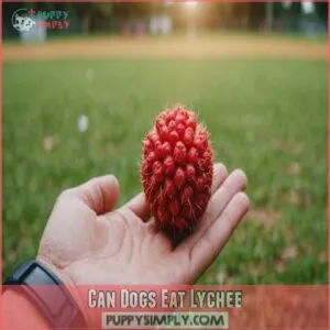 Can Dogs Eat Lychee