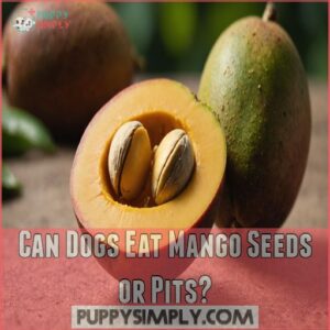 Can Dogs Eat Mango Seeds or Pits