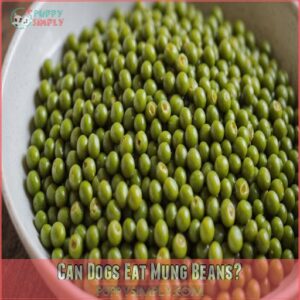 can dogs eat mung beans