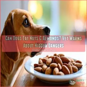 can dogs eat nuts almonds