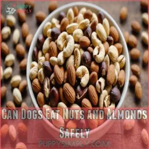 Can Dogs Eat Nuts and Almonds Safely