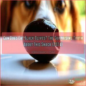 can dogs eat olives black can dogs eat olives black