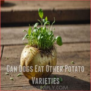 Can Dogs Eat Other Potato Varieties