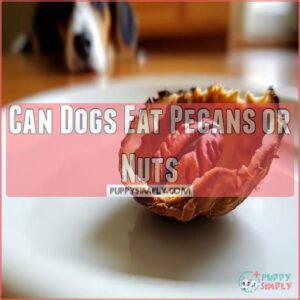 Can Dogs Eat Pecans or Nuts