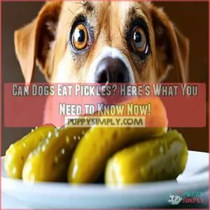 can dogs eat pickles