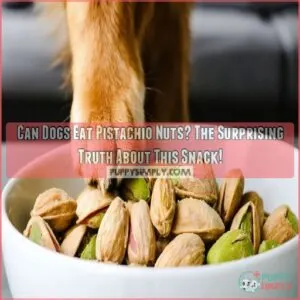 can dogs eat pistachio nuts