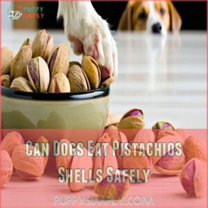 Can Dogs Eat Pistachios Shells Safely