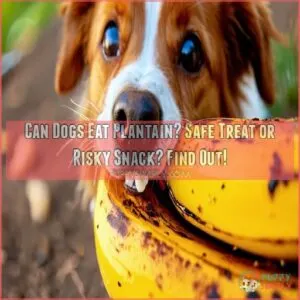 can dogs eat plantain