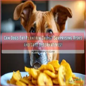 can dogs eat plantain chips