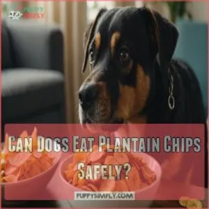 Can Dogs Eat Plantain Chips Safely