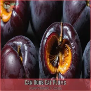 Can Dogs Eat Plums