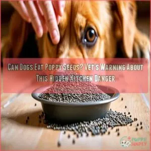 can dogs eat poppy seeds