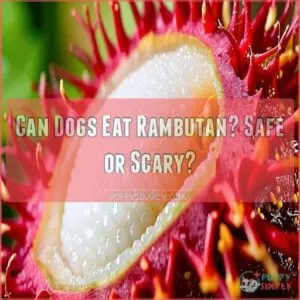 can dogs eat rambutan