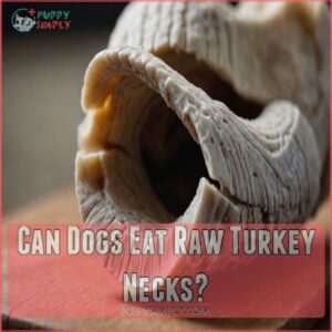 Can Dogs Eat Raw Turkey Necks