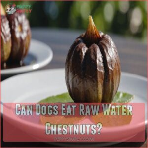 Can Dogs Eat Raw Water Chestnuts